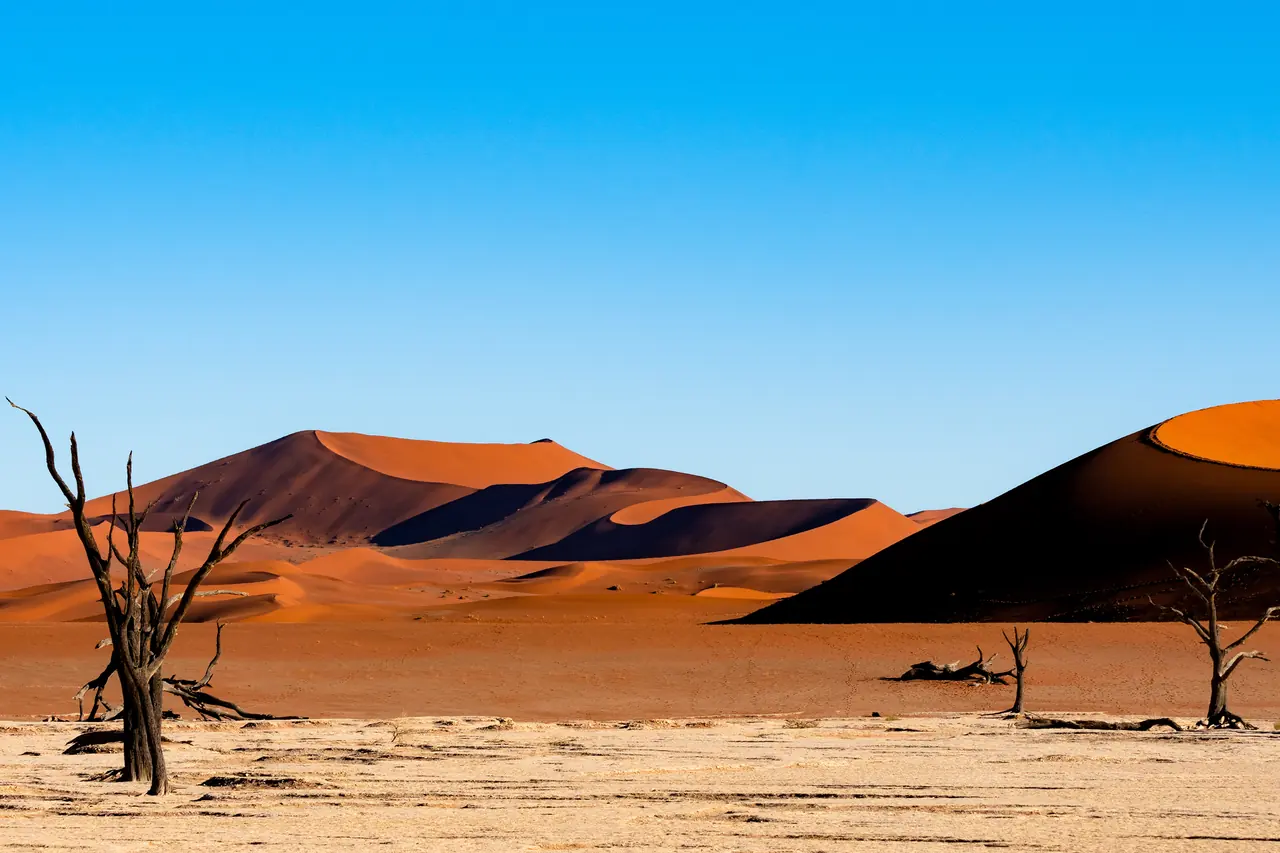 Dead camelthorn trees on the pale clay pan of Deadvlei in front of red sand dunes under a clear blue sky
